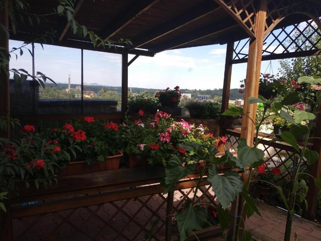 Apartmany Zatec Buitenkant foto